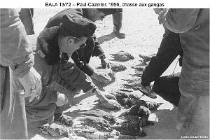 188- ARMEE DE L'AIR EN ALGERIE 1945-1962-36 (75)